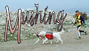 mushing-i01